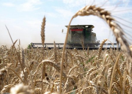 В Нижегородской области запущен портал для сельхозпроизводителей