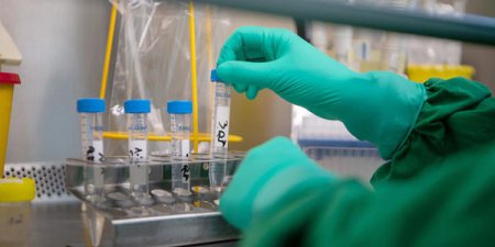 В Нижегородской области подтверждено еще 113 случаев заражения коронавирусом
