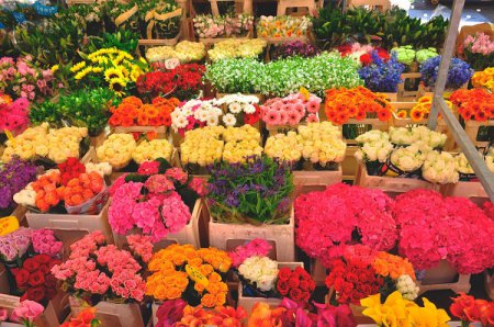 Торговлю цветочной продукцией, садовой техникой и автозапчастями разрешили в Нижегородской области