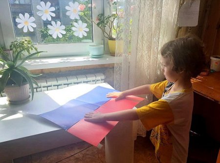 Нижегородцев призывают принять участие в онлайн-флешмобе «Флаги России»