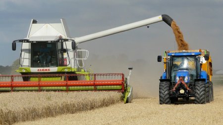 Уборочная кампания зерновых успешно завершается в Нижегородской области