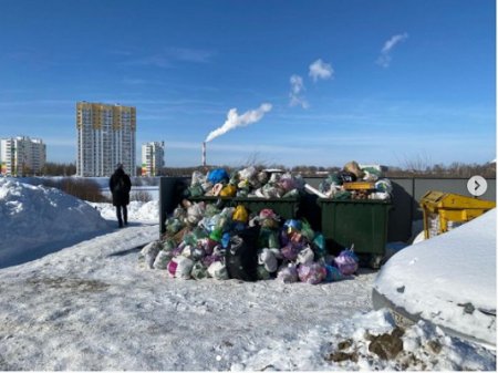 В Минэкологии региона зафиксировали более 80 фактов ненадлежащего вывоза мусора за месяц