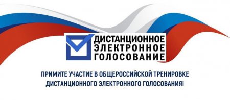 В Нижегородской области стартовал прием заявлений на участие в тестировании системы дистанционного электронного голосования