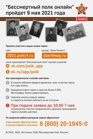 300 нижегородских добровольцев готовят шествие «Бессмертный полк онлайн»