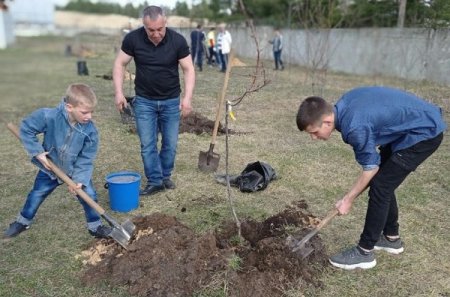 Воспитанники детских домов Нижегородской области стали участниками международной акции «Сад памяти»