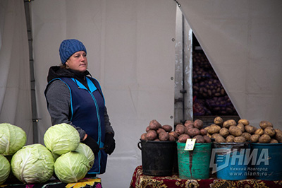 Сельхозпродукцию в Нижегородской области продают на 110 ярмарочных площадках