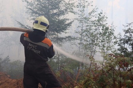 На борьбу с лесными пожарами регионам дополнительно выделят 24 млрд рублей