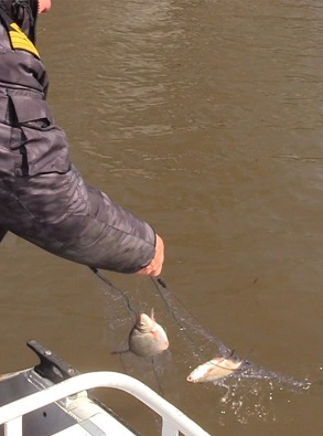 В Нижегородской области отменяются ограничения на рыбную ловлю