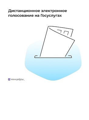 Более 17 тысяч нижегородцев подали заявления на участие в дистанционном электронном голосовании на портале «Госуслуги»
