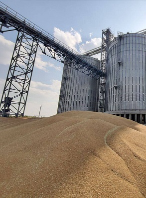 План по производству зерна, картофеля и сахарной свеклы перевыполнен в Нижегородской области
