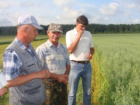 Специалисты сельского хозяйства Андрей Бочков, Сергей Тихомиров, Андрей Мозжанов на поле